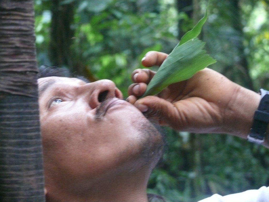 Yasuni - Huaorani - copyright Save America's Forests